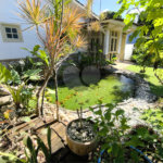 Casa à venda com 4 quartos, sendo 2 suítes, no Centro, Santa Cruz Cabrália, BA