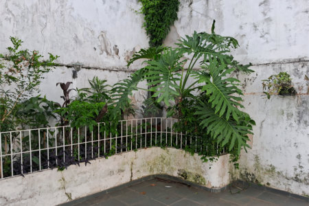 Sobrado à venda com 3 quartos, sendo 1 suíte, em Jardim São Paulo(zona Norte), São Paulo, SP