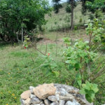 Sítio à venda com 2 quartos em Área Rural de Lagoinha, Lagoinha, SP