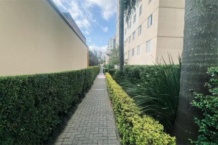 Apartamento à venda com 2 quartos em Rio Pequeno, São Paulo - SP
