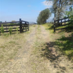 Excelente Sítio à Venda em Monte Mor – SP