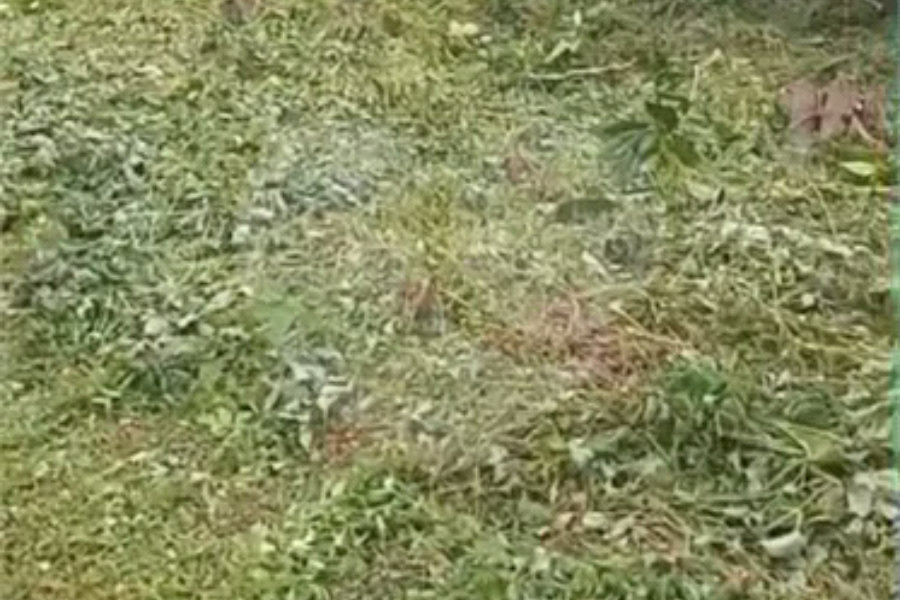 Terreno à venda em Costa do Sol, Bertioga, SP