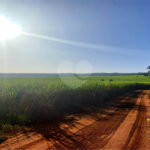 Fazenda em Ribeirão Bonito