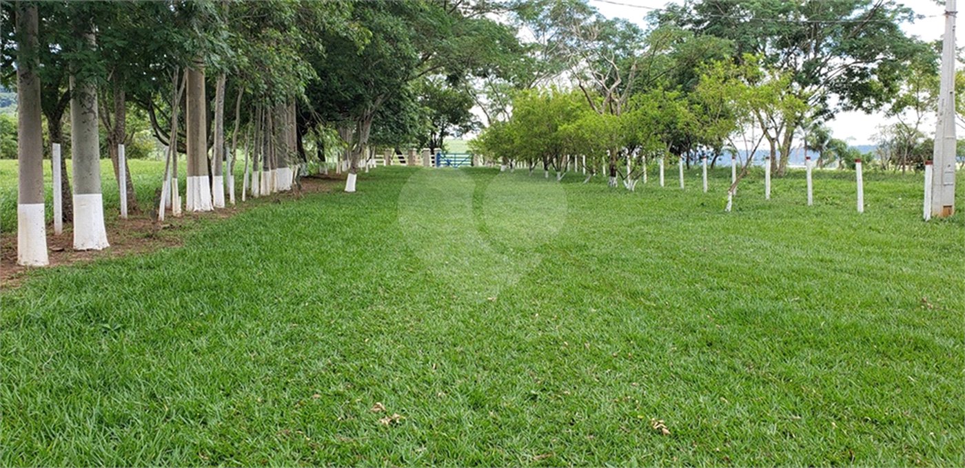 Sitio para venda.