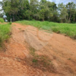 GLEBAS RURAIS EM PIRACAIA A PARTIR 20.000 M², EXCELENTE PARA CHÁCARAS E FAZENDINHAS