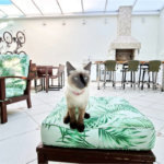 Alto Padrão no Palmas do Tremembé | Sofisticação, Exclusividade e Conforto