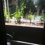 Casa à venda com 3 suítes em Jardim Olympia, São Paulo, SP