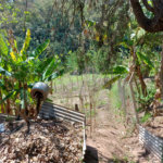 Chácara à venda com 4 quartos em Área Rural de Louveira, Louveira, SP