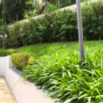 Apartamento à venda com 3 quartos em Butantã, São Paulo - SP