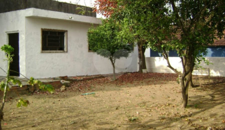Casa Térrea à venda ou para alugar com 2 quartos em Vila Cruz das Almas, São Paulo, SP