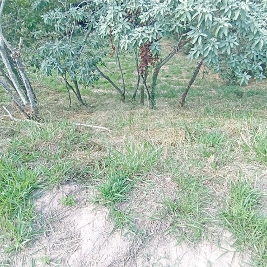 Terreno à venda no condomínio Vila D'oro em Vinhedo/SP