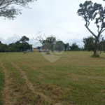 Loteamento Residencial no Condomínio Vila Pinhal do Broa