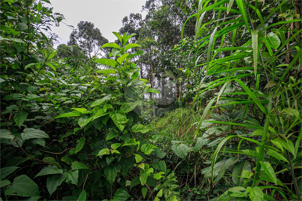 Terreno à venda em Morumbi, São Paulo, SP