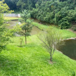 Vende-se chácara com lago Nazare Paulista com 3.000 m²