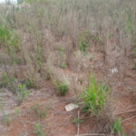Lote no Jardim do Bosque, aceita financiamento ou aquisição de terreno e construção .