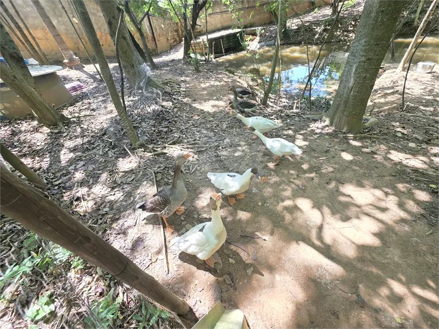 Casa para Locação no Condomínio Jardim América em Vinhedo/SP