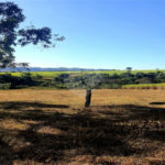 Fazenda em Ribeirão Bonito