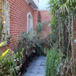 Casa à venda com 4 quartos, sendo 1 suíte,  em Limão, São Paulo, SP
