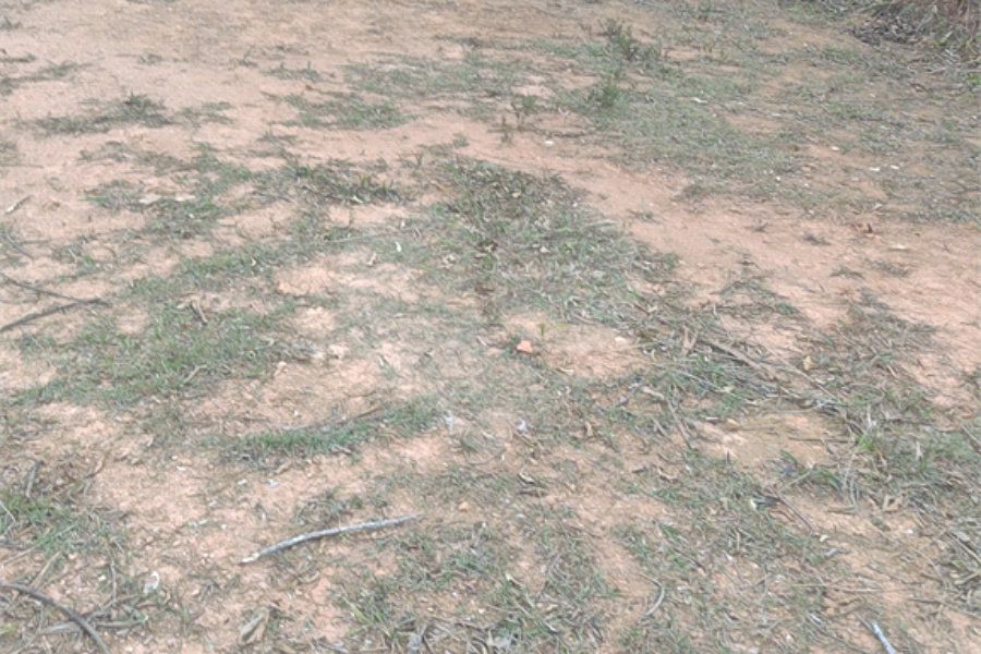 Terreno à venda no condomínio Associação Mirante da Mantiqueira, Mairiporã - SP