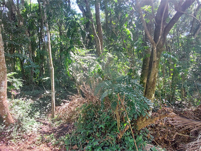 Terreno à venda no condomínio Sausalito, Mairiporã - SP