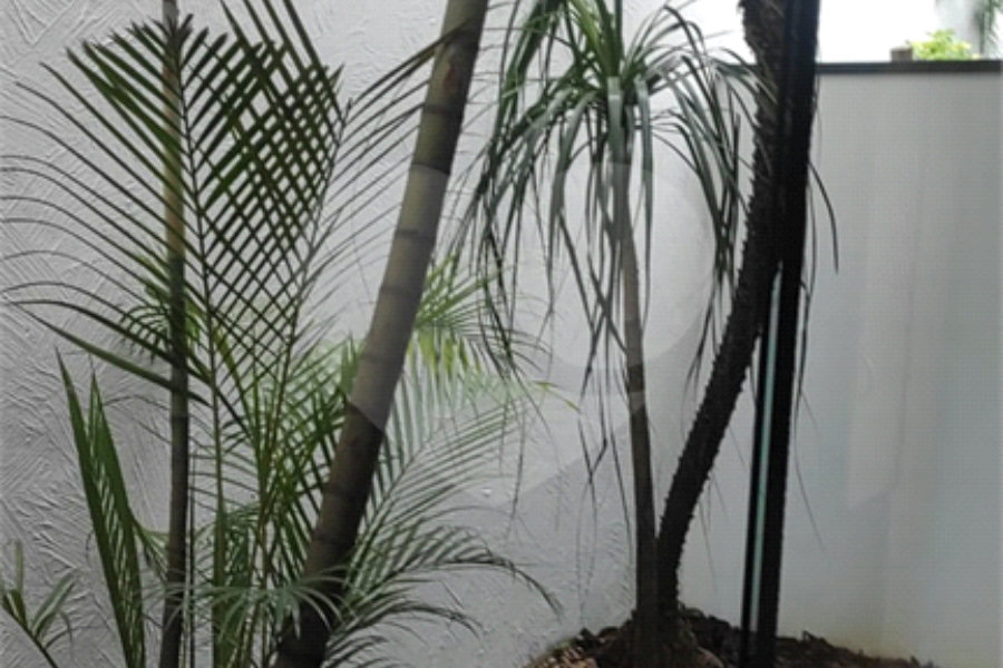 Apartamento para alugar com 1 quarto em Tucuruvi, São Paulo, SP