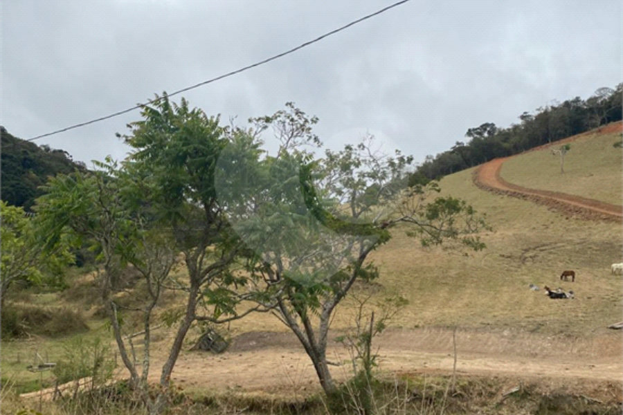 Sítio à venda no Centro, Sapucaí-mirim, MG