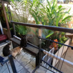 Casa Térrea à venda com 2 quartos em Tucuruvi, São Paulo, SP