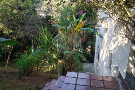 Sobrado à venda com 3 quartos, sendo 1 suíte, em Horto Florestal, São Paulo, SP