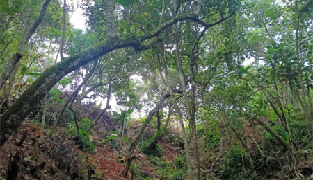 Terreno à venda em Vila Sol Nascente, Suzano, SP