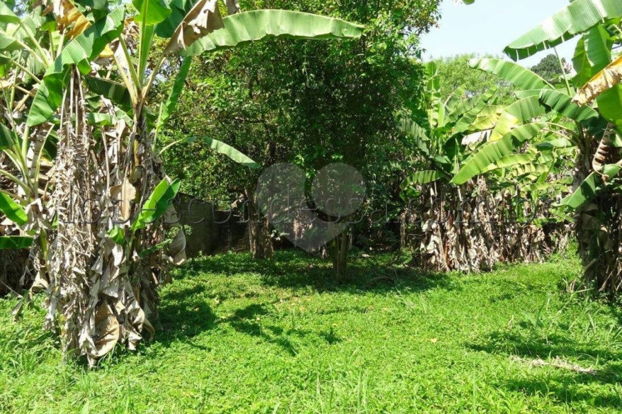 Terreno à venda em Horto Florestal, São Paulo, SP