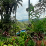 Casa Térrea à venda com 4 quartos, sendo 2 suítes, em Serra da Cantareira, Mairiporã, SP