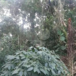 Terreno à venda em Tucuruvi, São Paulo, SP