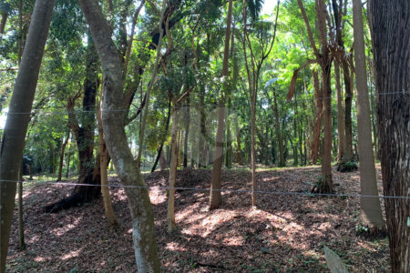 Terreno à venda no condomínio Chácara Flora, São Paulo - SP