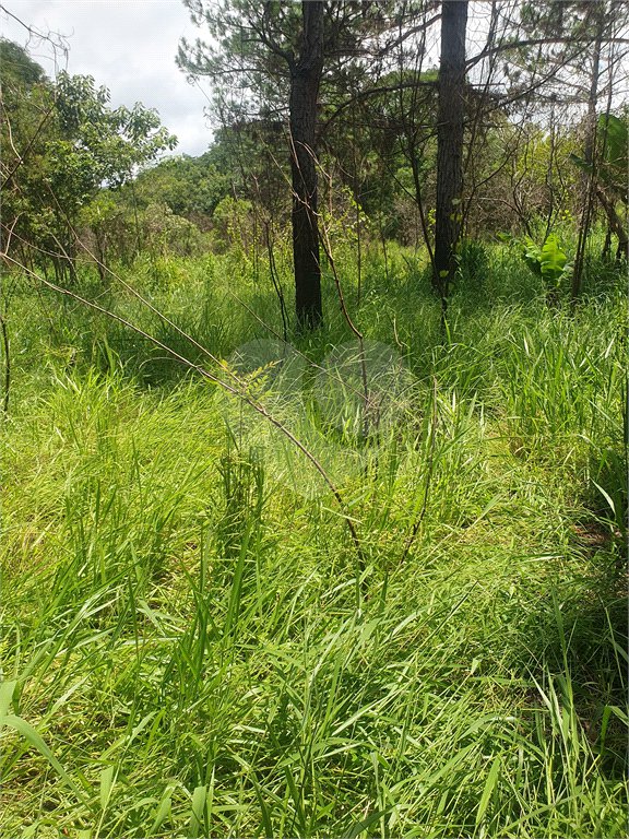 Terreno à venda em Vila Moraes, Mogi das Cruzes, SP
