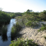 Área de Terra à venda em Mogiquiçaba, Belmonte, BA