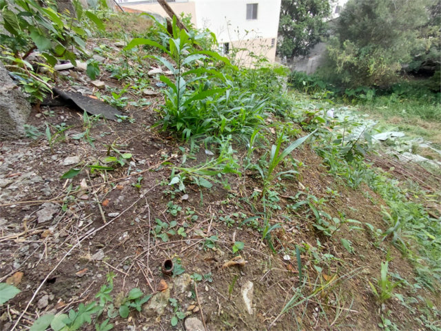 Terreno à venda em Tucuruvi, São Paulo, SP