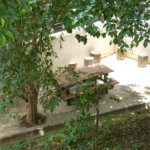 Apartamento para alugar com 2 quartos em Parada Inglesa, São Paulo, SP