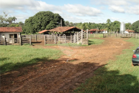 Fazenda à venda com 2 quartos em Canabrava, João Pinheiro, MG