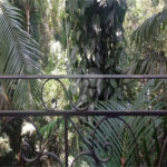 Casa Térrea à venda com 3 quartos, sendo 1 suíte, em Serra da Cantareira, Mairiporã, SP
