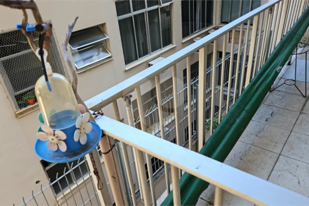 Apartamento à venda ou para alugar com 2 quartos em Rio Comprido, Rio de Janeiro, RJ