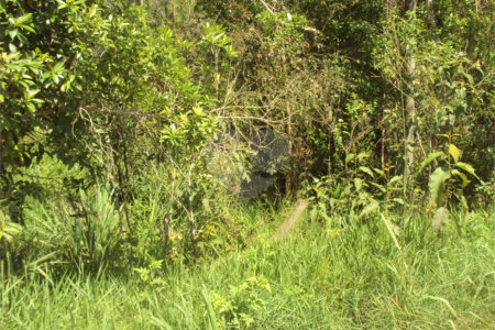 Chácara à venda com 1 quarto em Cruz das Almas, Biritiba-mirim, SP