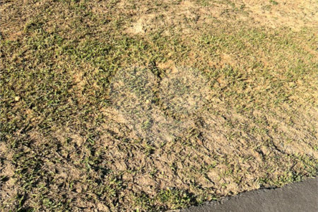 Terreno à venda no condomínio Terras de São José II, Itu - SP