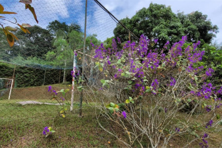 Terreno à venda em Alpes D'ouro, Bom Jesus dos Perdões, SP