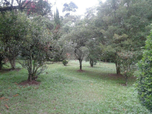Terreno à venda com 1 quarto, sendo 2 suítes,  em Horto Florestal, São Paulo, SP