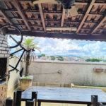 Apartamento à venda com 3 quartos, sendo 1 suíte, em Jardim Japão, São Paulo, SP