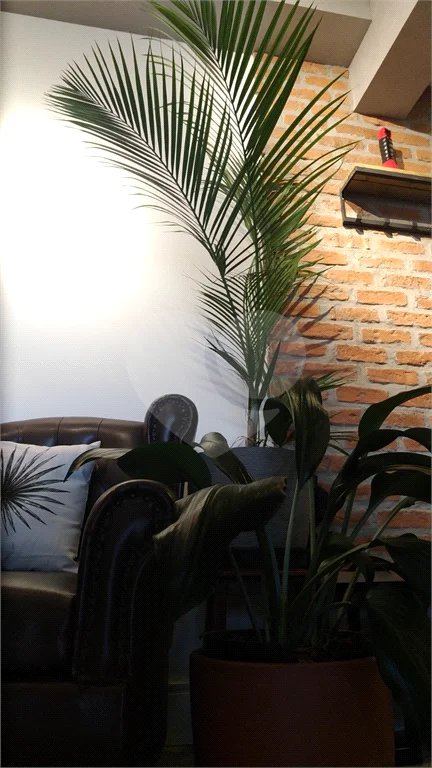 APARTAMENTO A VENDA EM SP BELÉM