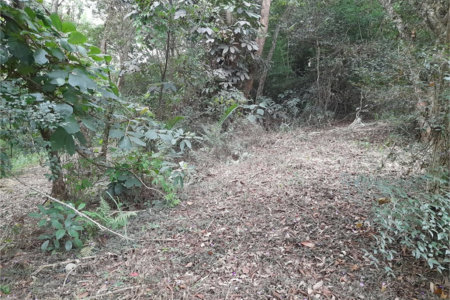 Terreno à venda em Chácaras Fernão Dias, Atibaia, SP