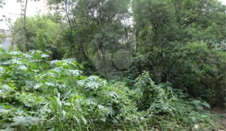 Terreno à venda em Vila Suzana, São Paulo, SP