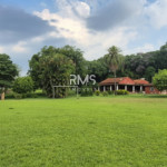 SÍTIO À VENDA EM ELIAS FAUSTO 21.900 m² - ÓTIMA TOPOGRAFIA E EXCELENTE LOCALIZAÇÃO