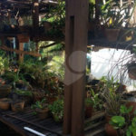 Casa à venda com 3 quartos, sendo 1 suíte, em Butantã, São Paulo, SP